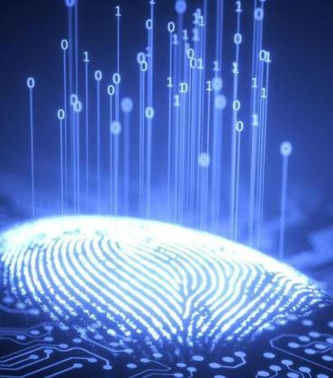 Fingerprinting & Identification Services